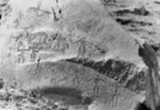 aragats.jpg (29299 bytes)
