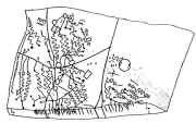 kaqav.jpg (46016 bytes)