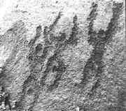 d001erkr.jpg (43188 bytes)