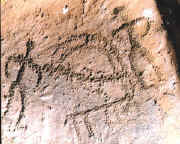 m008-ay.jpg (36784 bytes)